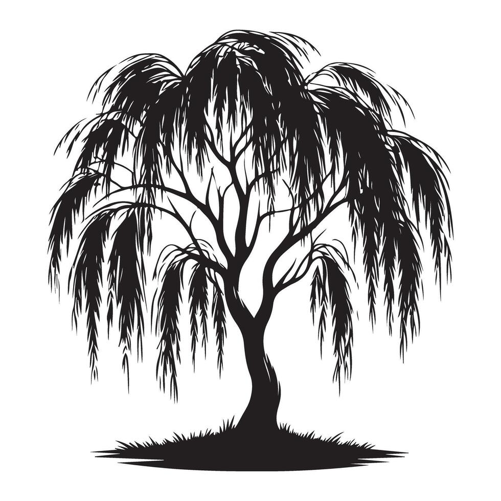 Weeping Willow Tree Silhouette Illustration Nature Mourning Symbol vector