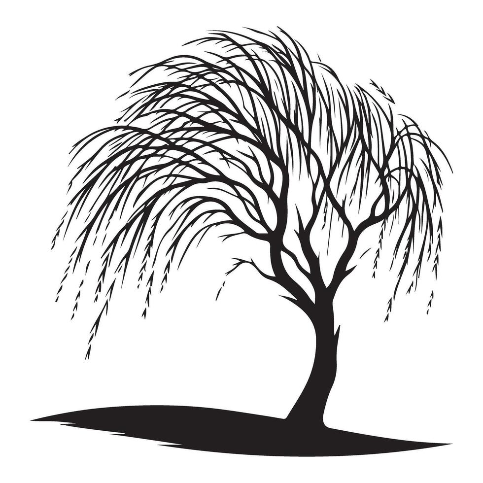 Weeping Willow Tree Silhouette Graphic for Landscape Design vector