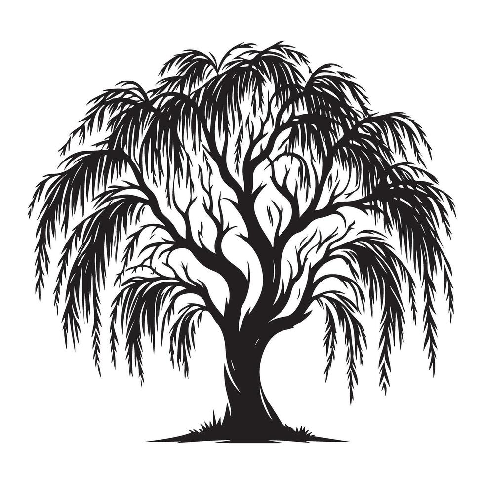 Majestic Weeping Willow Tree Silhouette Illustration with Intricate Branches vector
