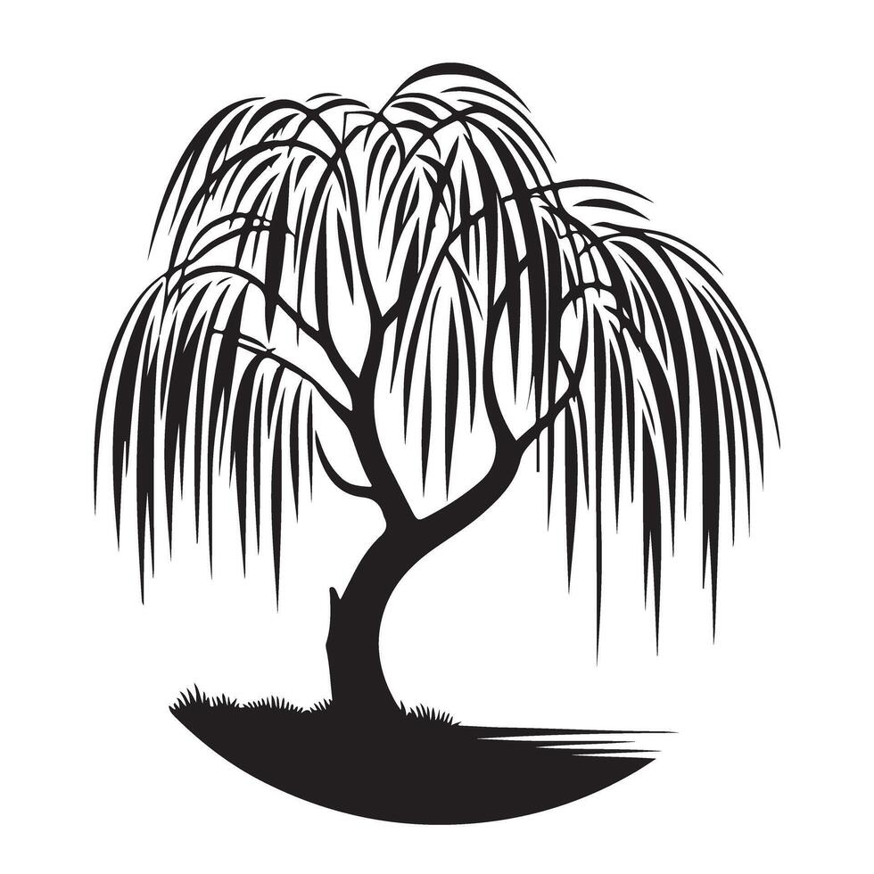 Silhouette of Weeping Willow Tree Representing Elegance and Serenity vector