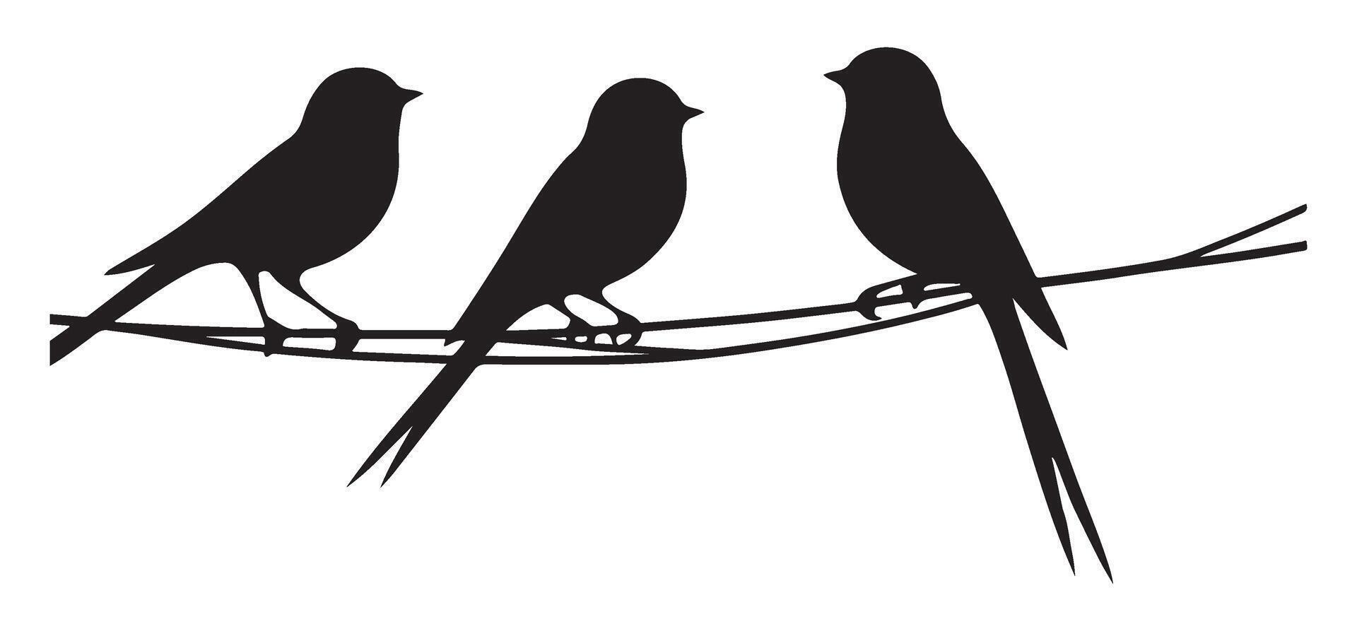 Three Birds on a Wire Silhouette Minimalist Art Design vector