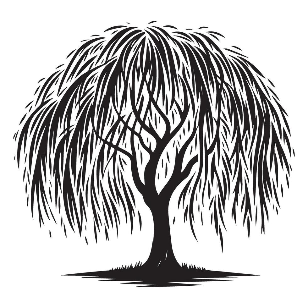 Majestic Weeping Willow Tree Silhouette A Symbol of Resilience and Beauty vector
