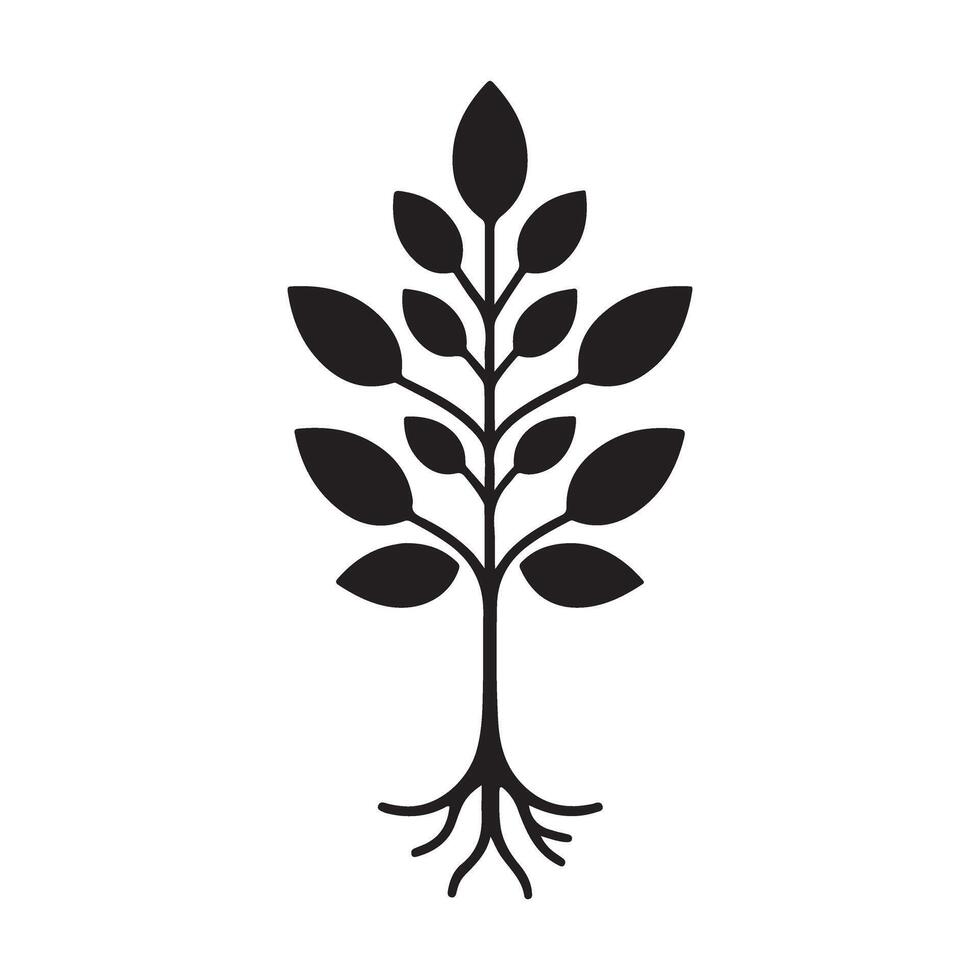 Silhouette of a Sapling Seedling Growing Symbolizing New Life vector