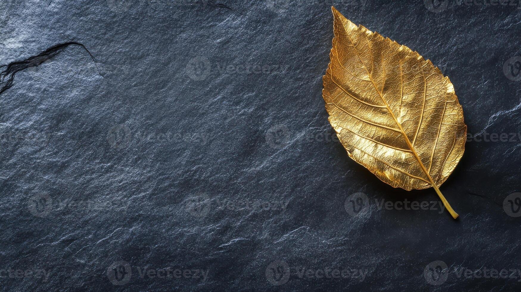 Golden leaf on dark slate background highlighting elegance and nature concept photo