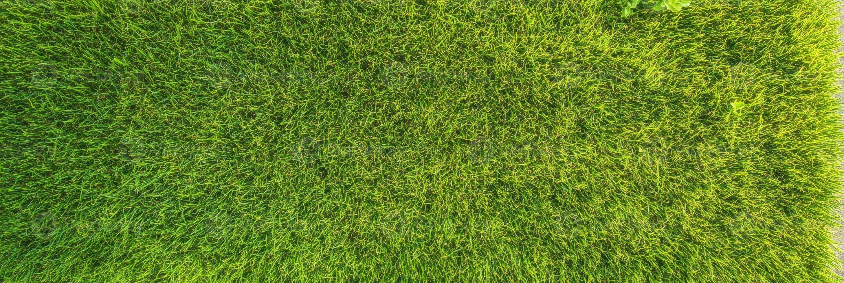Vibrant green grass texture background for nature and lawn concepts photo