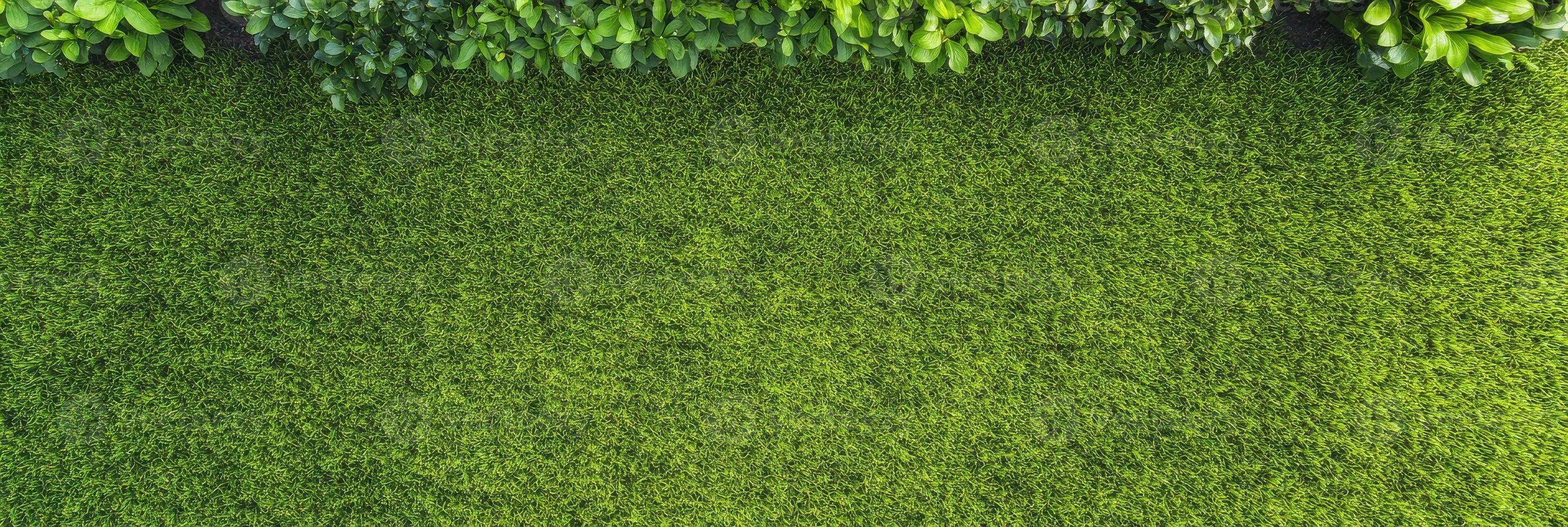 Lush green grass lawn with dense leaf hedge in garden aerial view concept photo