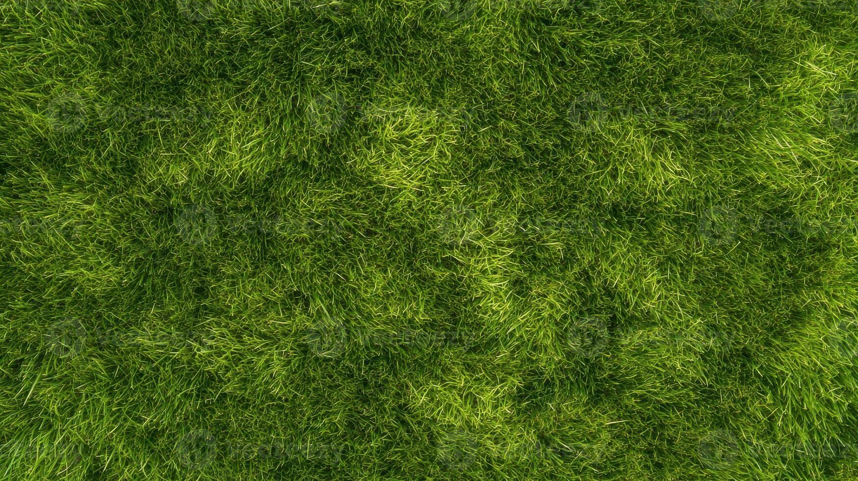 Lush green grass texture - natural lawn surface and fresh plant backdrop photo