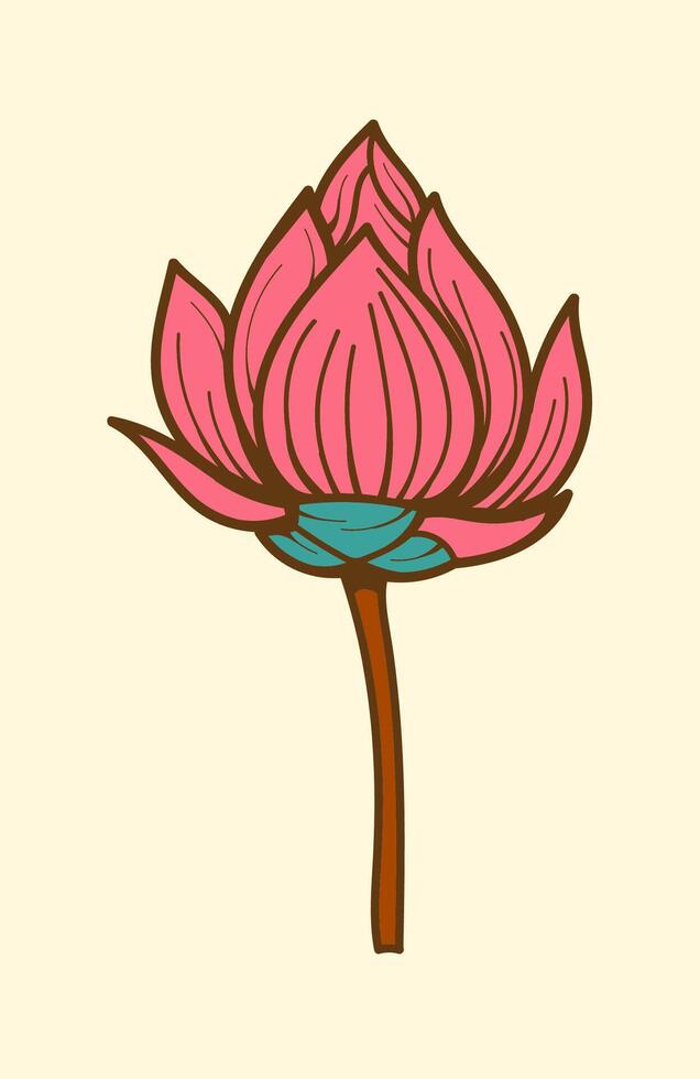 Pink Lotus Flower Illustration with Outline vector