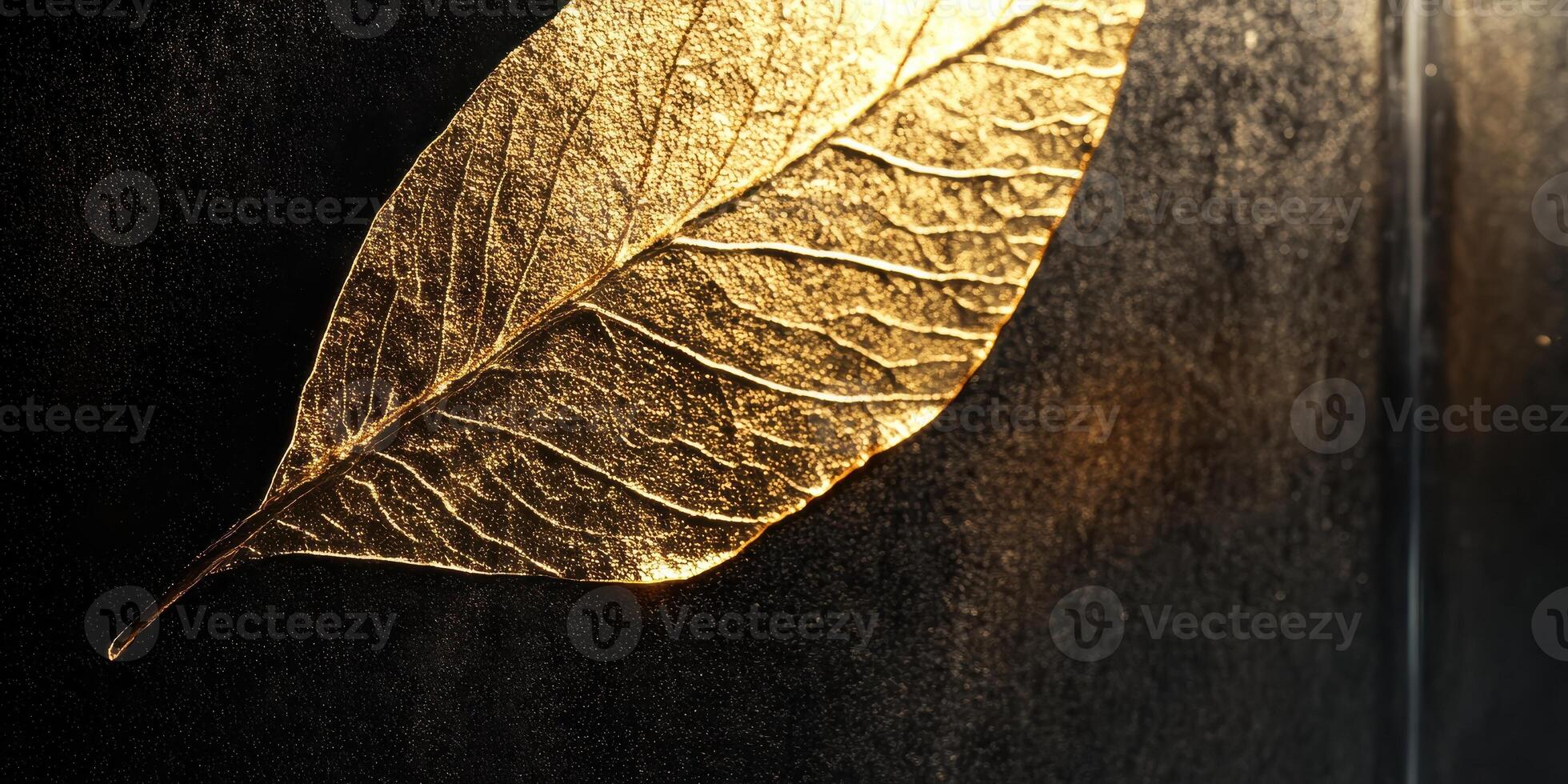 Golden leaf on dark background symbolizing nature and elegance photo