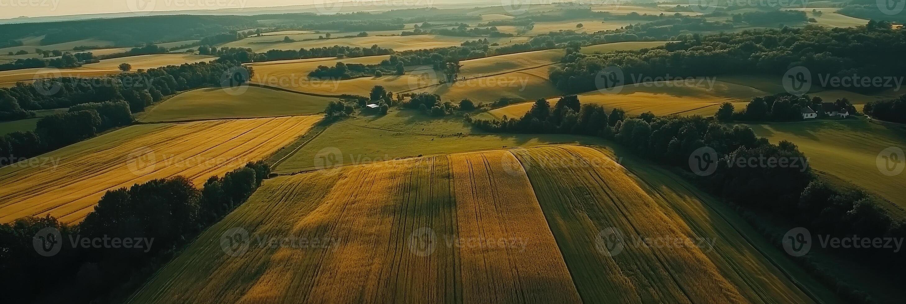 Aerial view of golden farm fields and rolling hills at sunset depicting rural serenity concept photo