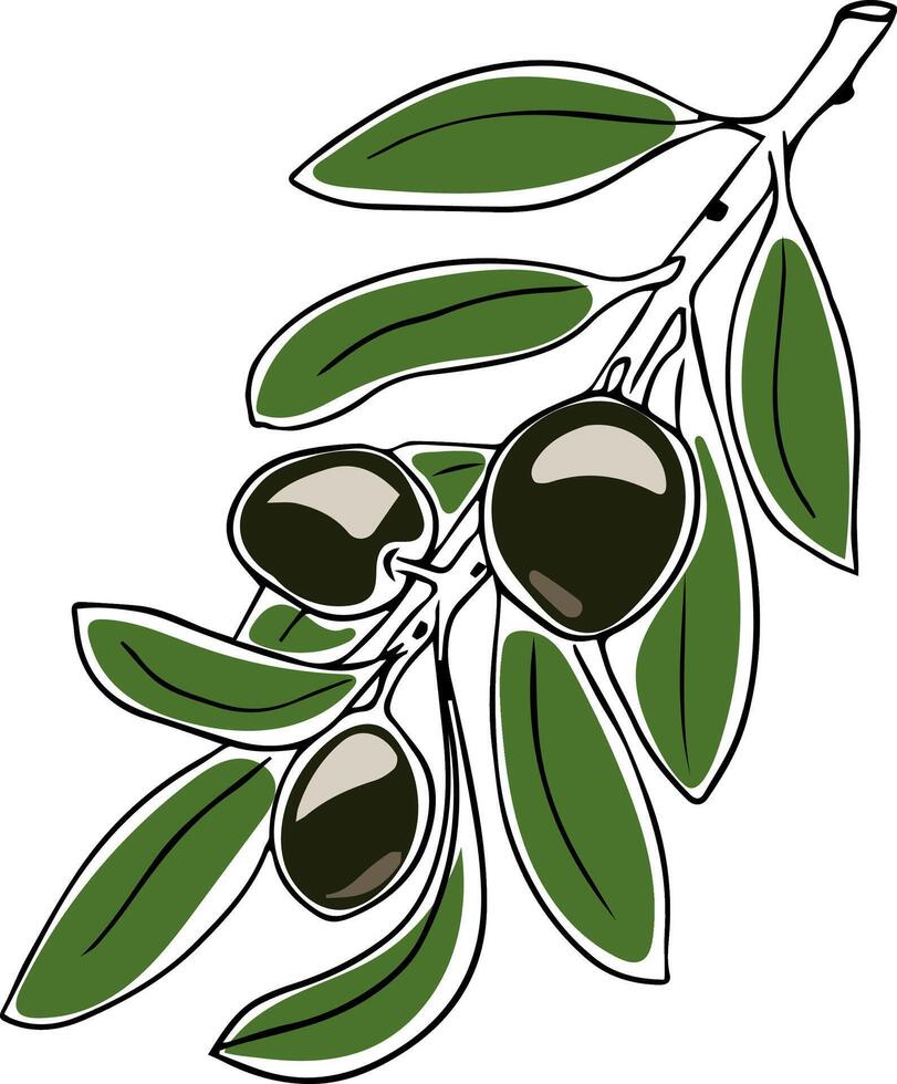 hand drawn doodle of olive branch isolated on white background vector