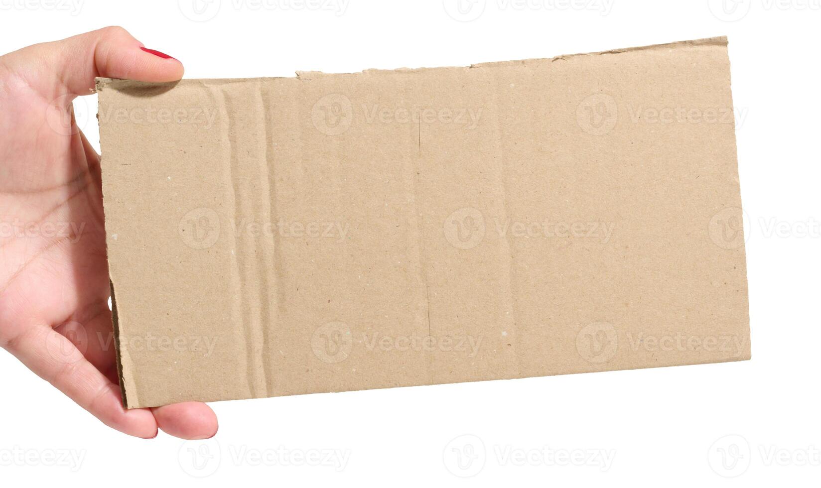 Female hand holding a piece of brown cardboard on isolated background, space for copy photo
