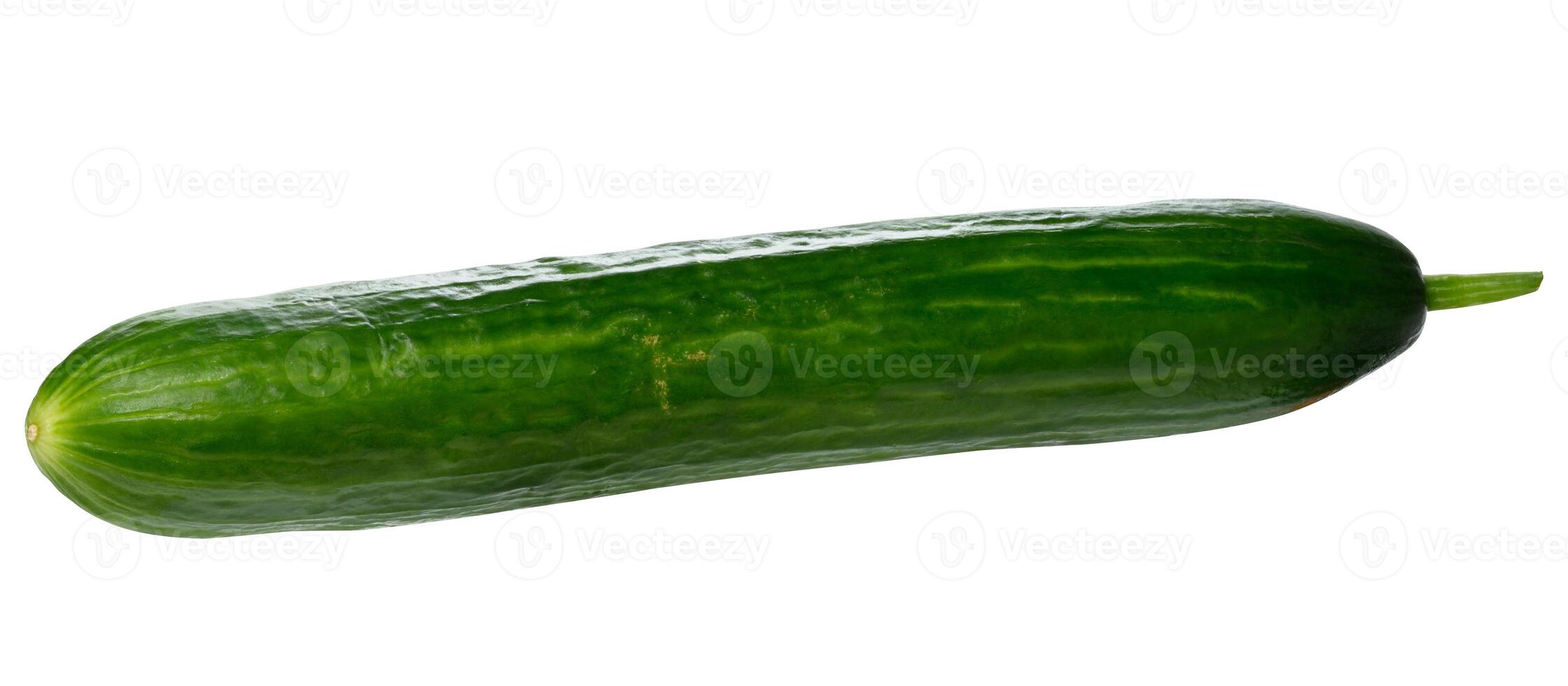 Fresh smooth green cucumber on isolated background photo