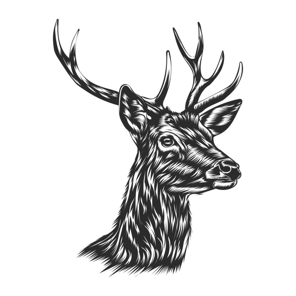 deer head , art design black and white vector