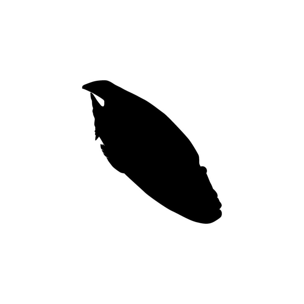Humphead wrasse, Cheilinus undulatus, also known as the Maori wrasse, Napoleon wrasse, Napoleon fish. Flat Style, can use for Logo Gram, Animal Illustration, Pictogram, ect. Silhouette Flat vector