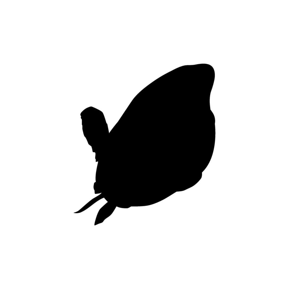 Humphead wrasse, Cheilinus undulatus, also known as the Maori wrasse, Napoleon wrasse, Napoleon fish. Flat Style, can use for Logo Gram, Animal Illustration, Pictogram, ect. Silhouette BW vector