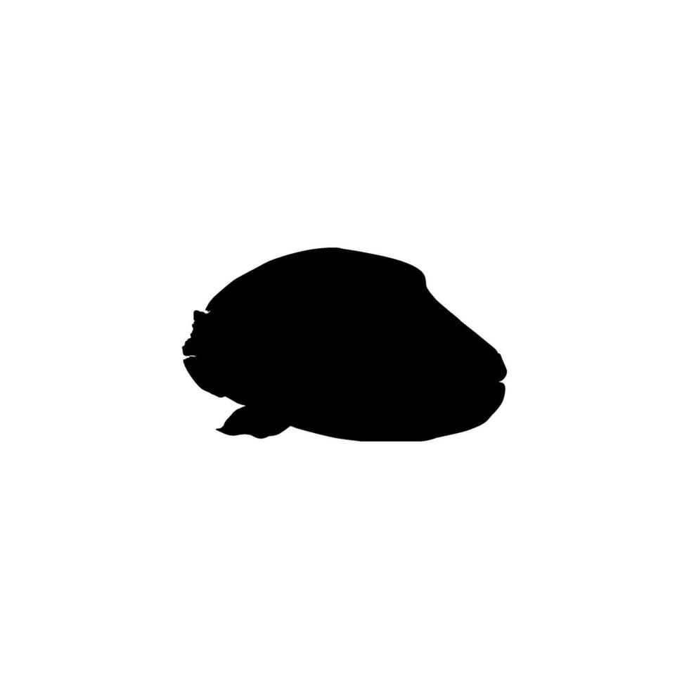 Humphead wrasse, Cheilinus undulatus, also known as the Maori wrasse, Napoleon wrasse, Napoleon fish. Flat Style, can use for Logo Gram, Animal Illustration, Pictogram, ect. BW Silhouette vector