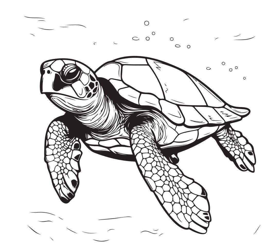 Sea turtle hand drawn engraving style sketch Underwater animals illustration. vector