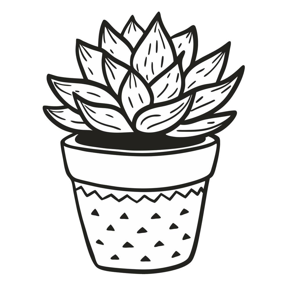 Monochrome Illustration of a Succulent Plant in a Pot vector