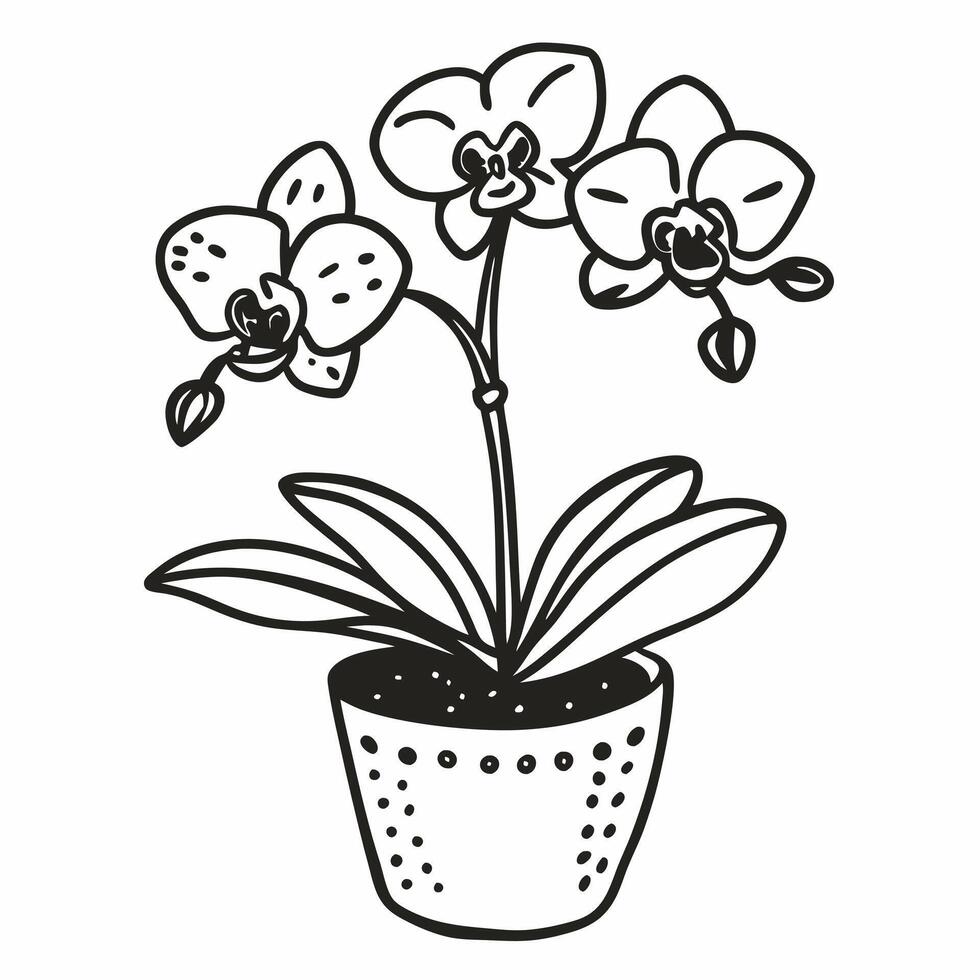 Elegant Orchid in Pot Minimalist Black and White Illustration vector