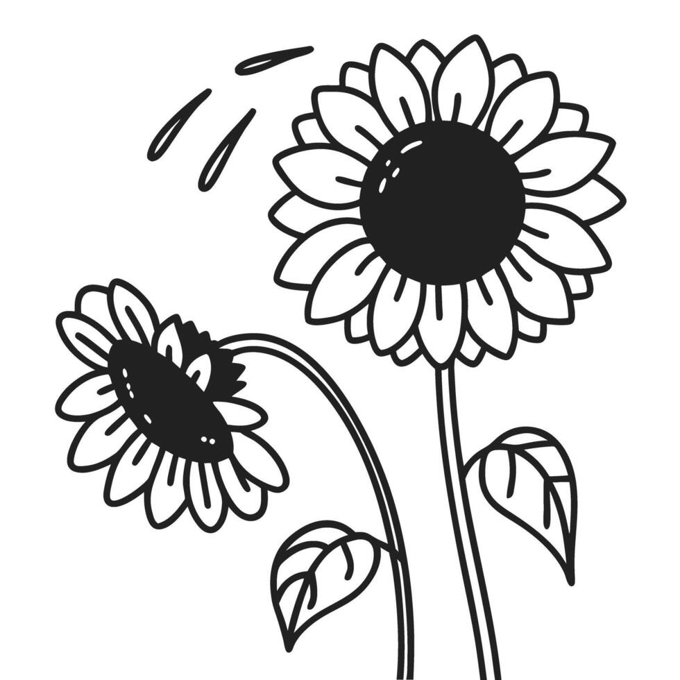 Simple black and white sunflower illustration with blooming flowers and leaves vector