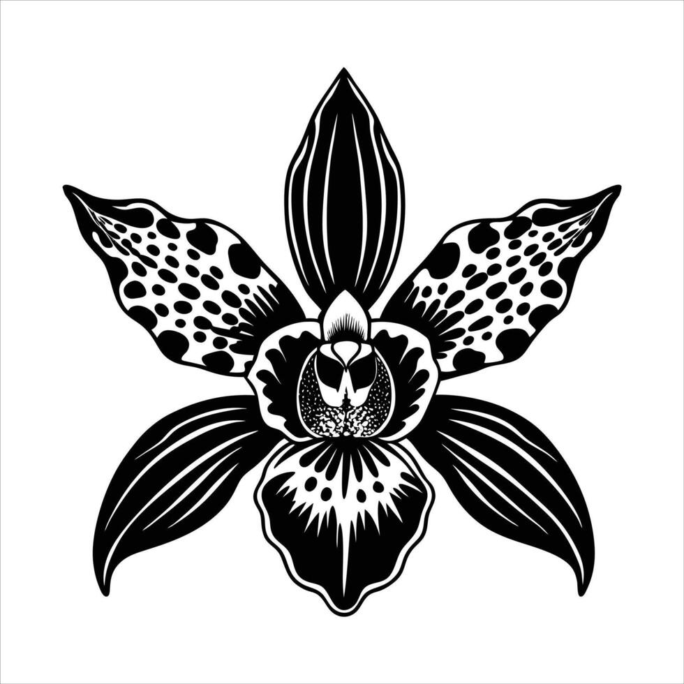 Exotic Monkey Orchid Flower vector