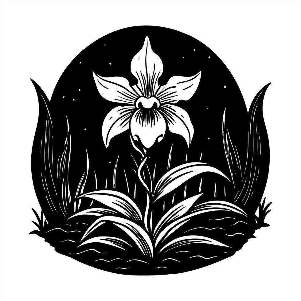Ghost orchid with white petals vector