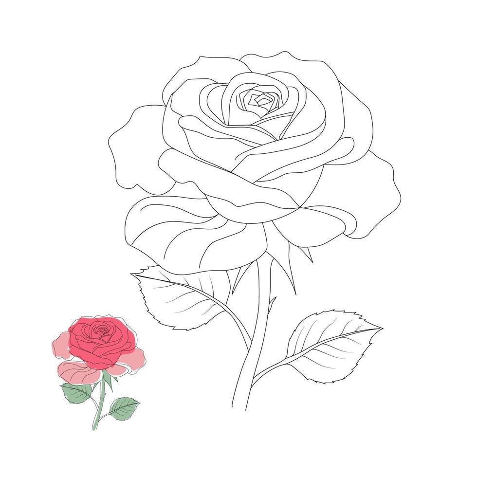 Hand-Drawn Rose line art vector