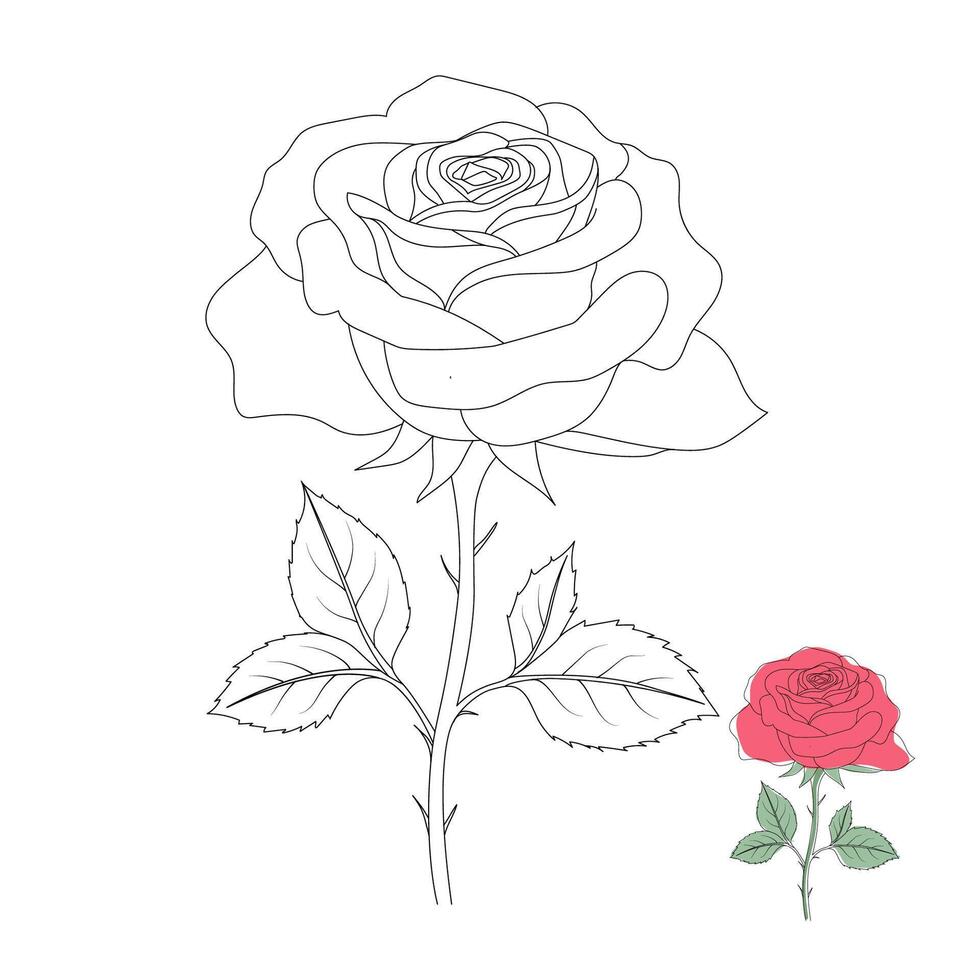 Hand-Drawn Rose line art design vector