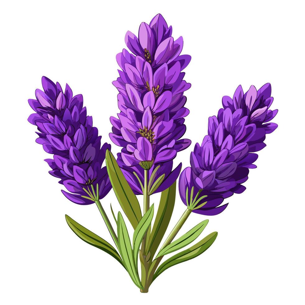 Vibrant purple lupine flowers with lush green foliage standing out boldly against a stark white background for a striking contrast vector