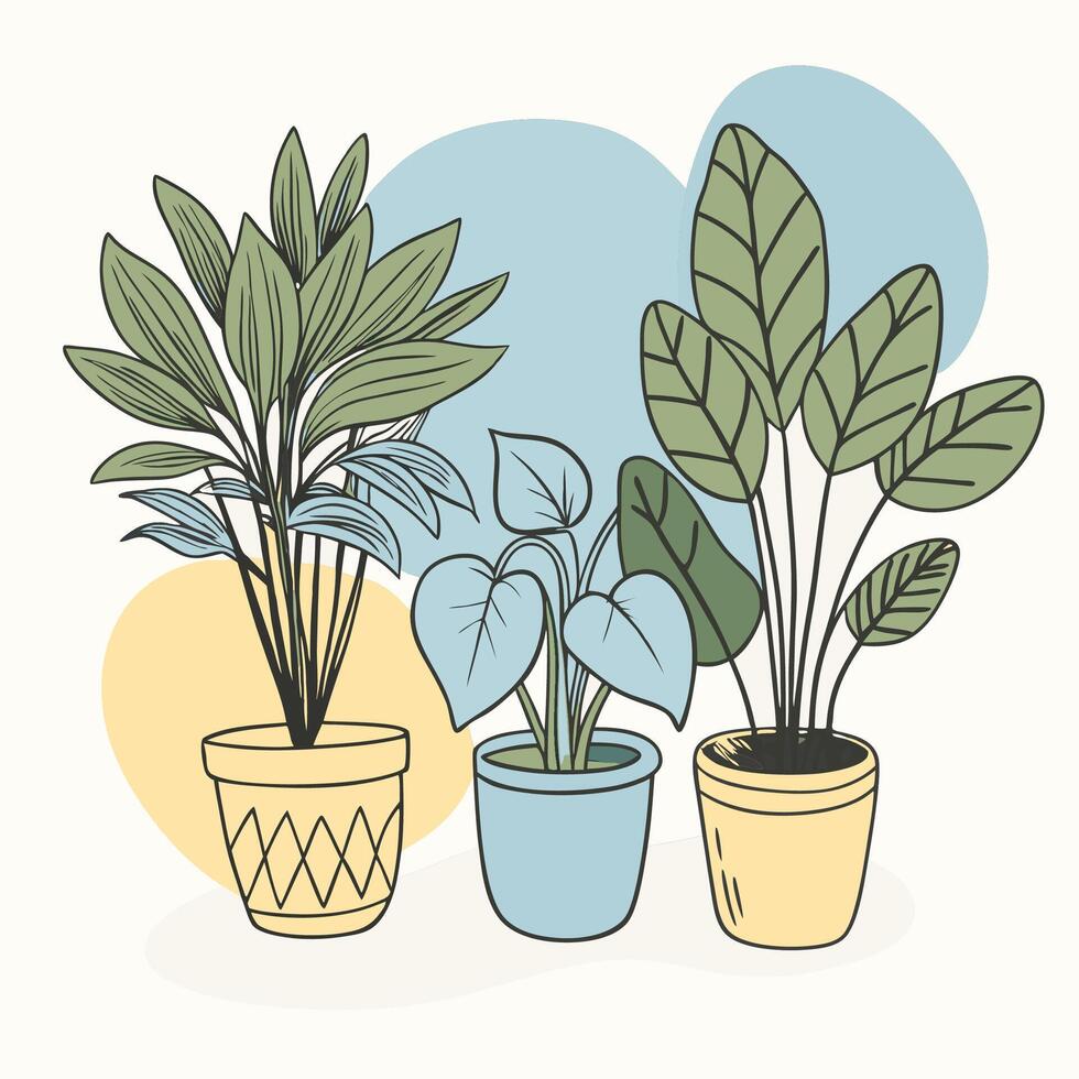 Three different potted plants with green leaves in colorful pots vector