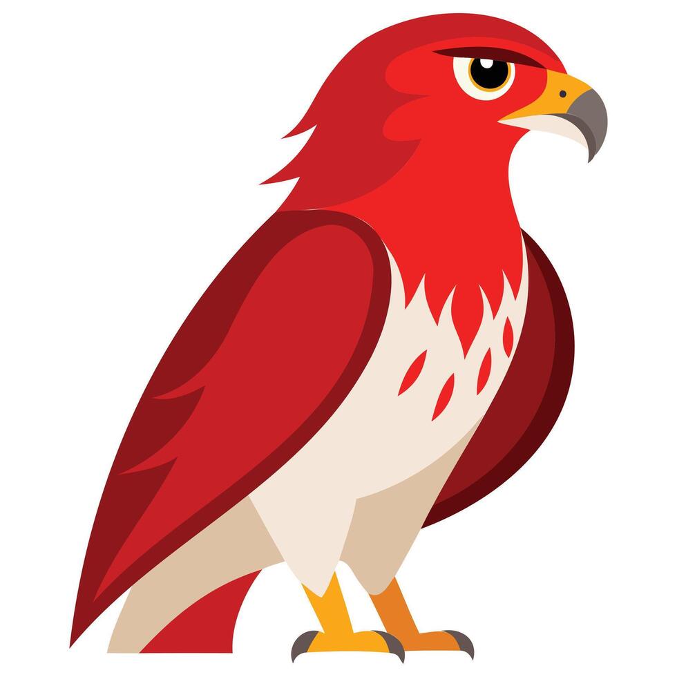 Hawk Head Emblem Bold and Striking Bird Design vector