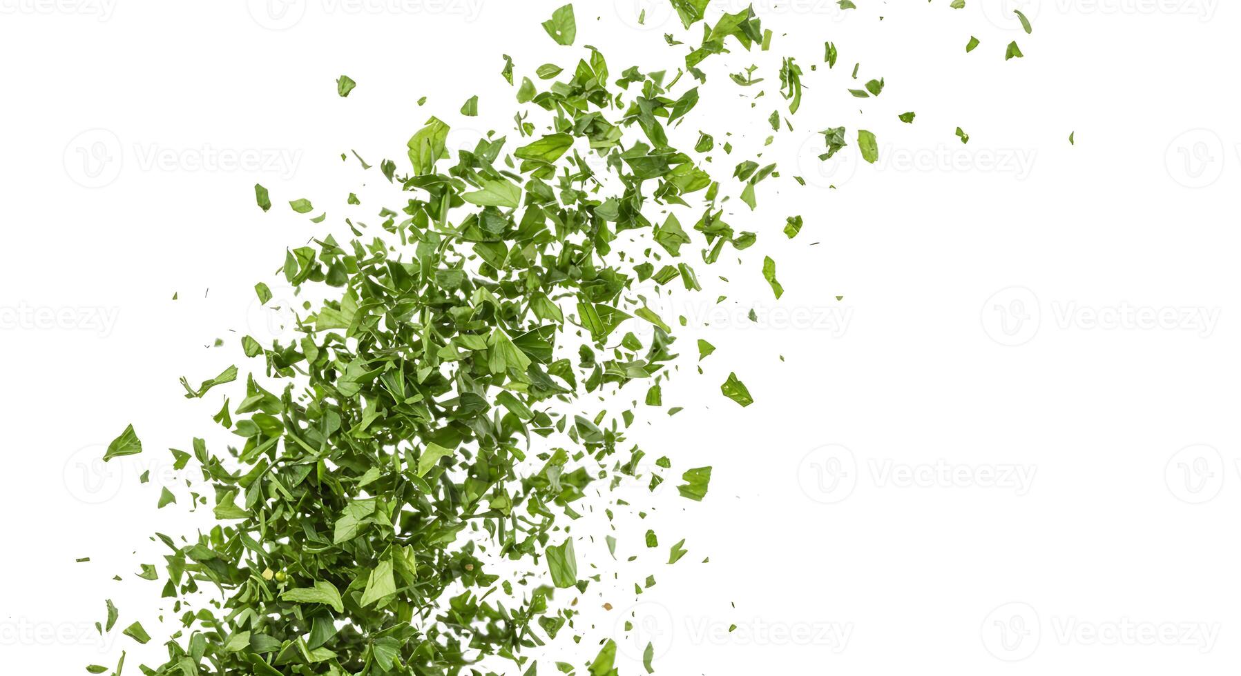 Fresh Parsley Explosion Green Leaves Burst Food Ingredient Herbs diet spice plant white photo image