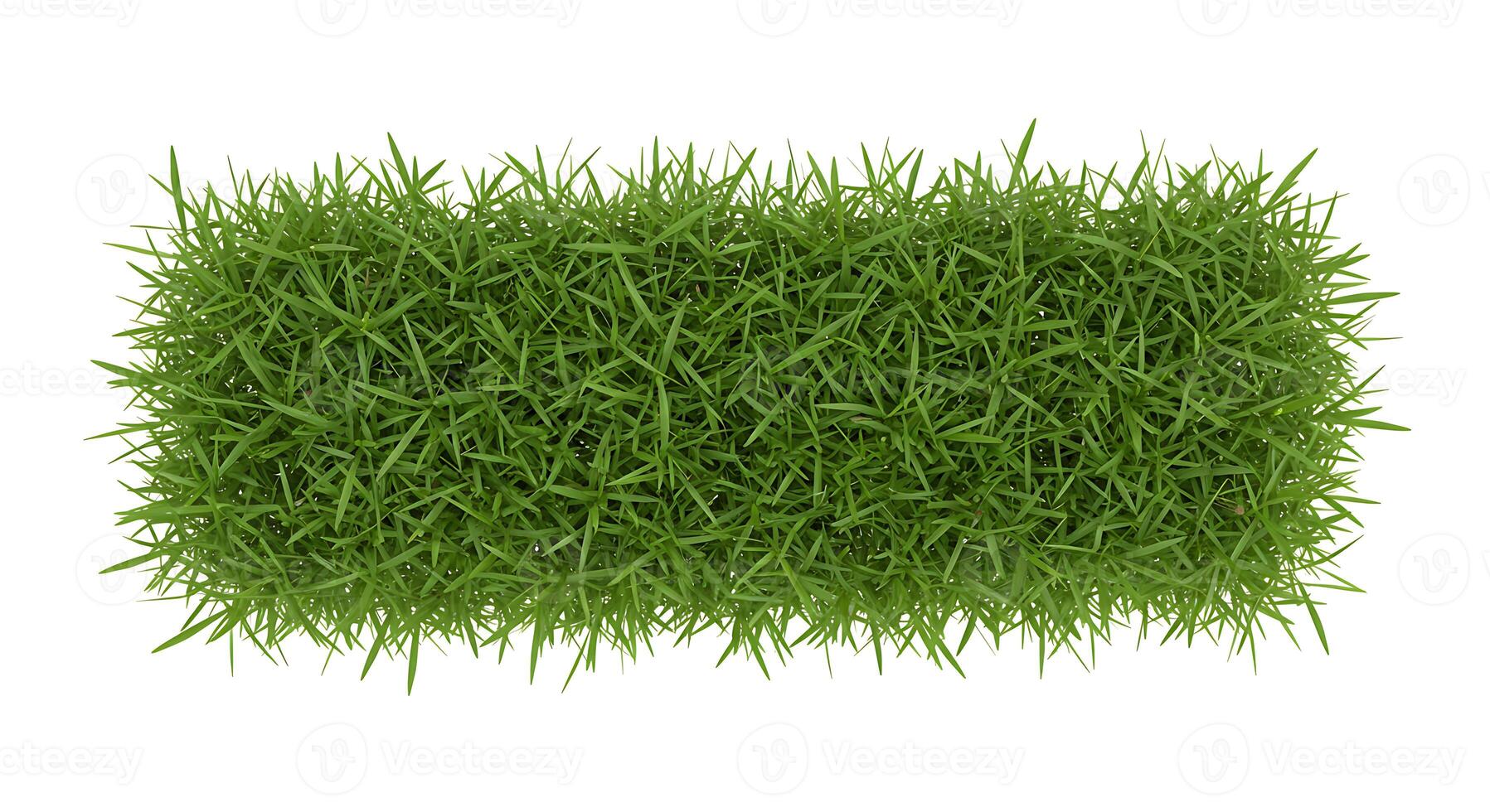 Vibrant Green Grass Texture Lush Spring Meadow Nature Background Image eco sod hay lawn stem herb photo