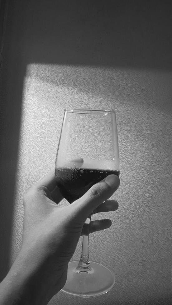 A hand holding a glass of wine in front of a window photo