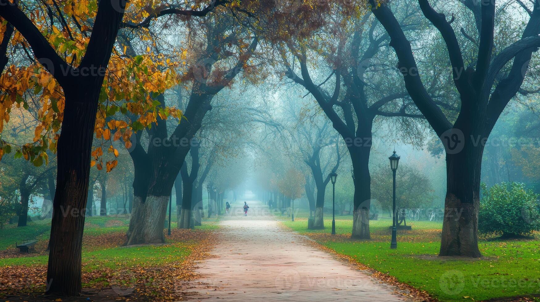 A serene park pathway lined with trees, enveloped in mist during autumn. photo