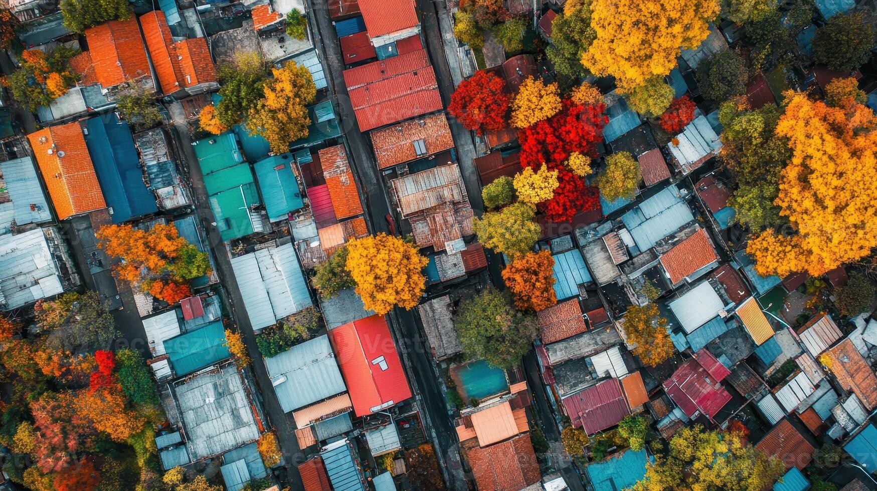 Aerial view of colorful rooftops surrounded by autumn foliage photo