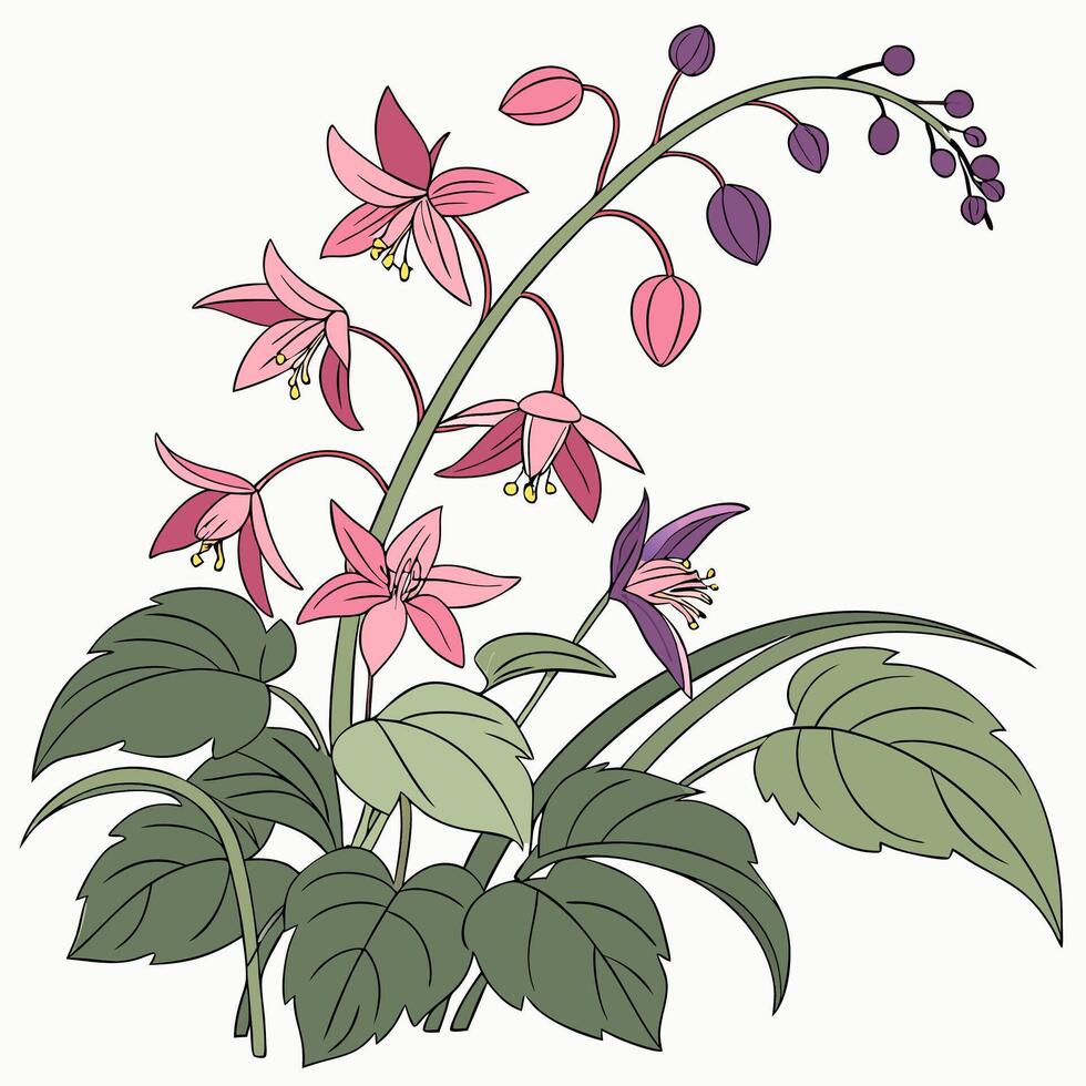 a drawing of a plant with pink flowers vector