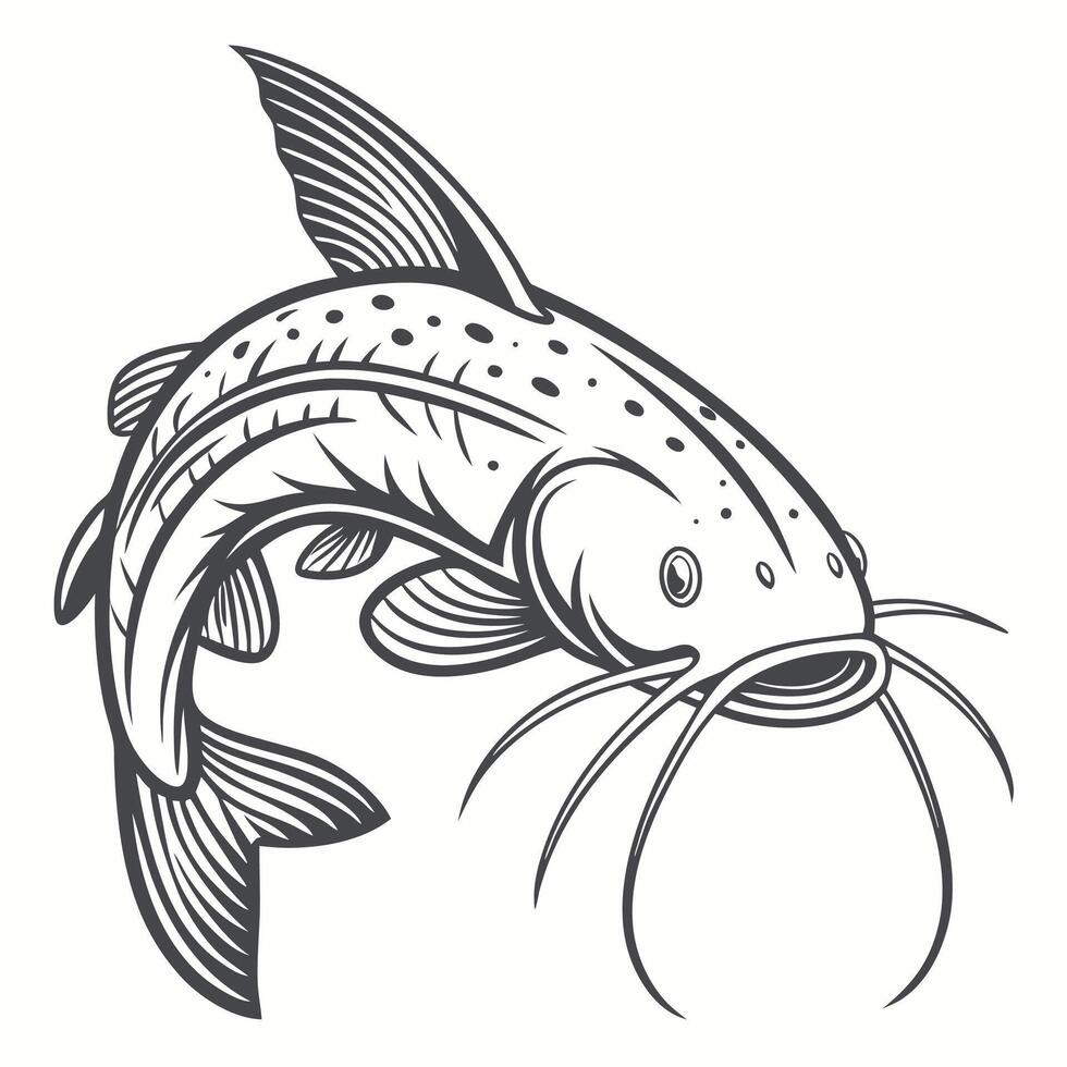 a catfish is shown in a black and white drawing vector