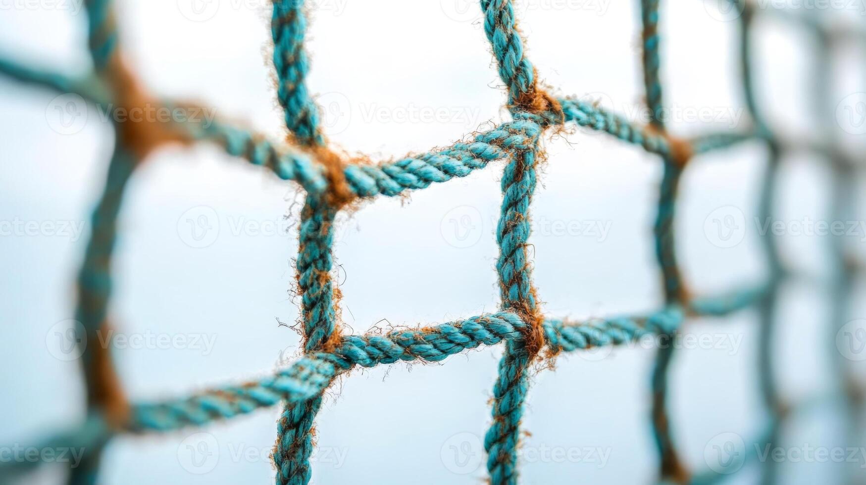 Close-up of a Blue Rope Net photo