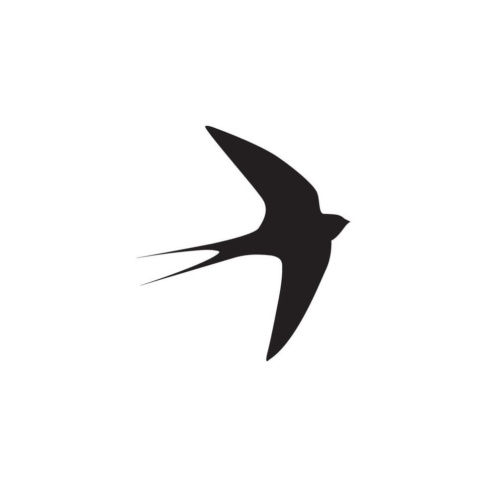 swallow bird or swiftlet silhouette black isolated in white background vector