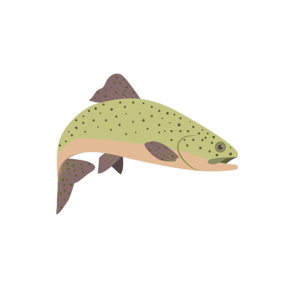 Rainbow trout set. Isolated rainbow trout vector