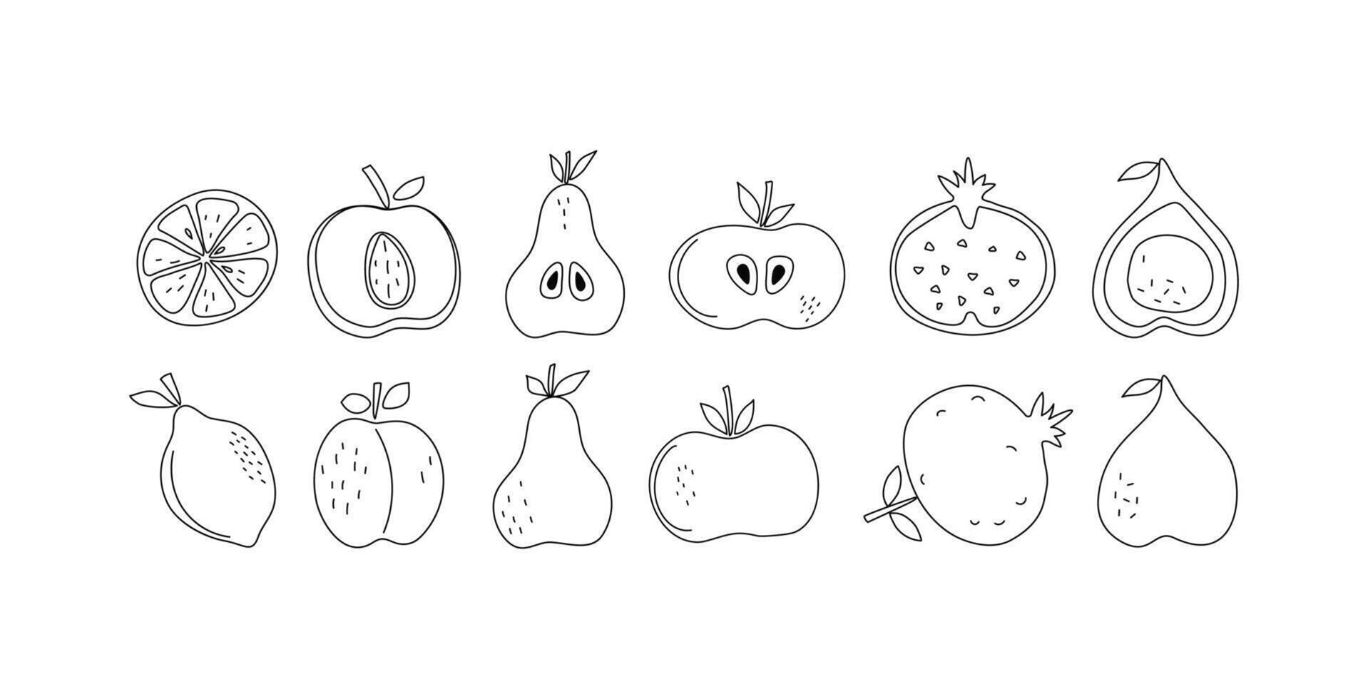 Set slices, whole fruits. Linear icons. Simple abstract fruits with leaves. Vitamin natural vegetarian food, garden crop, harvest. Drawing, sketch, illustration on white isolated white background. vector