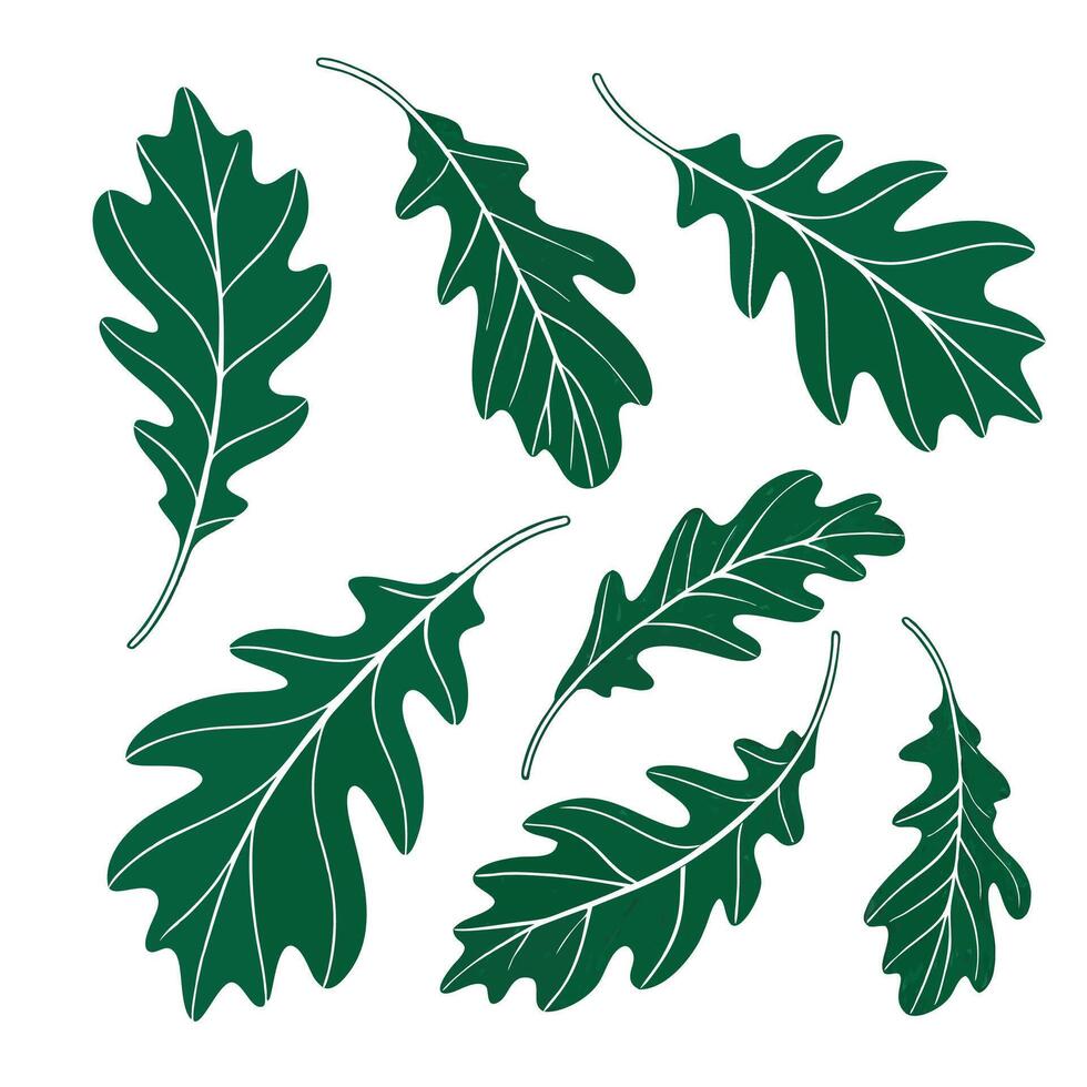 Set of green leaves vector