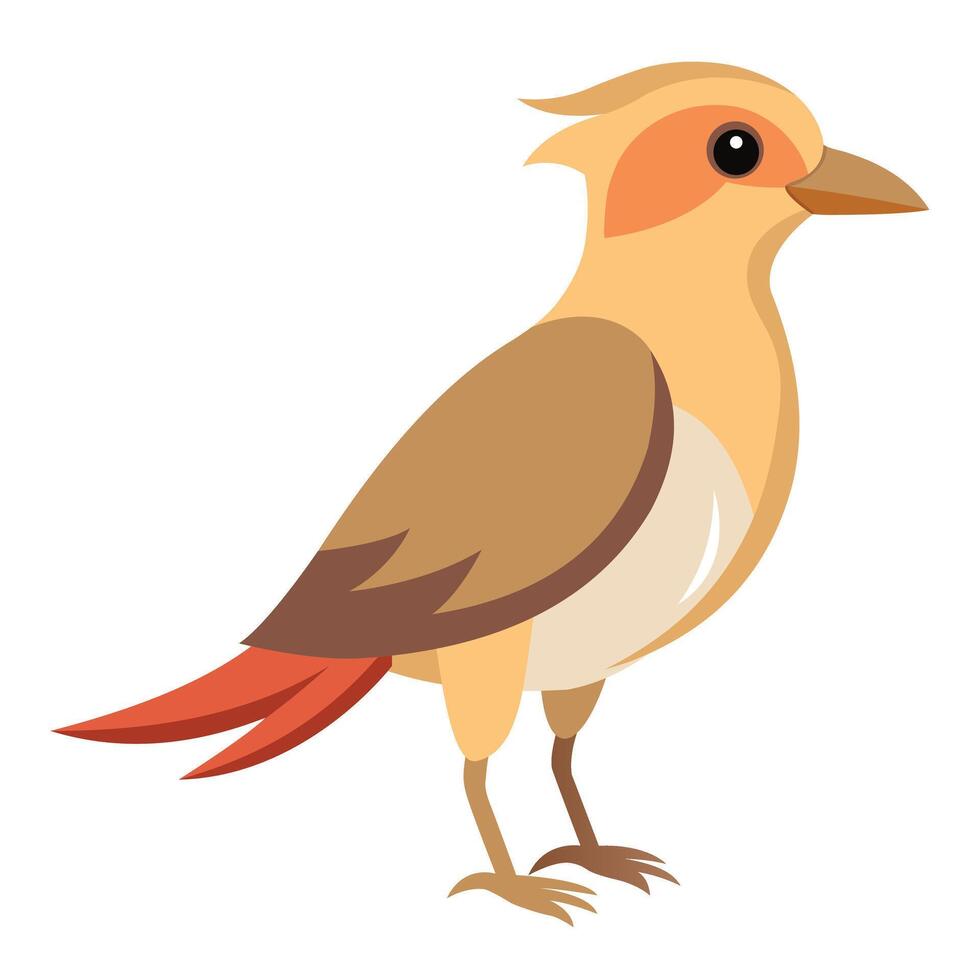 Tropical Beige Bird Isolated on White vector