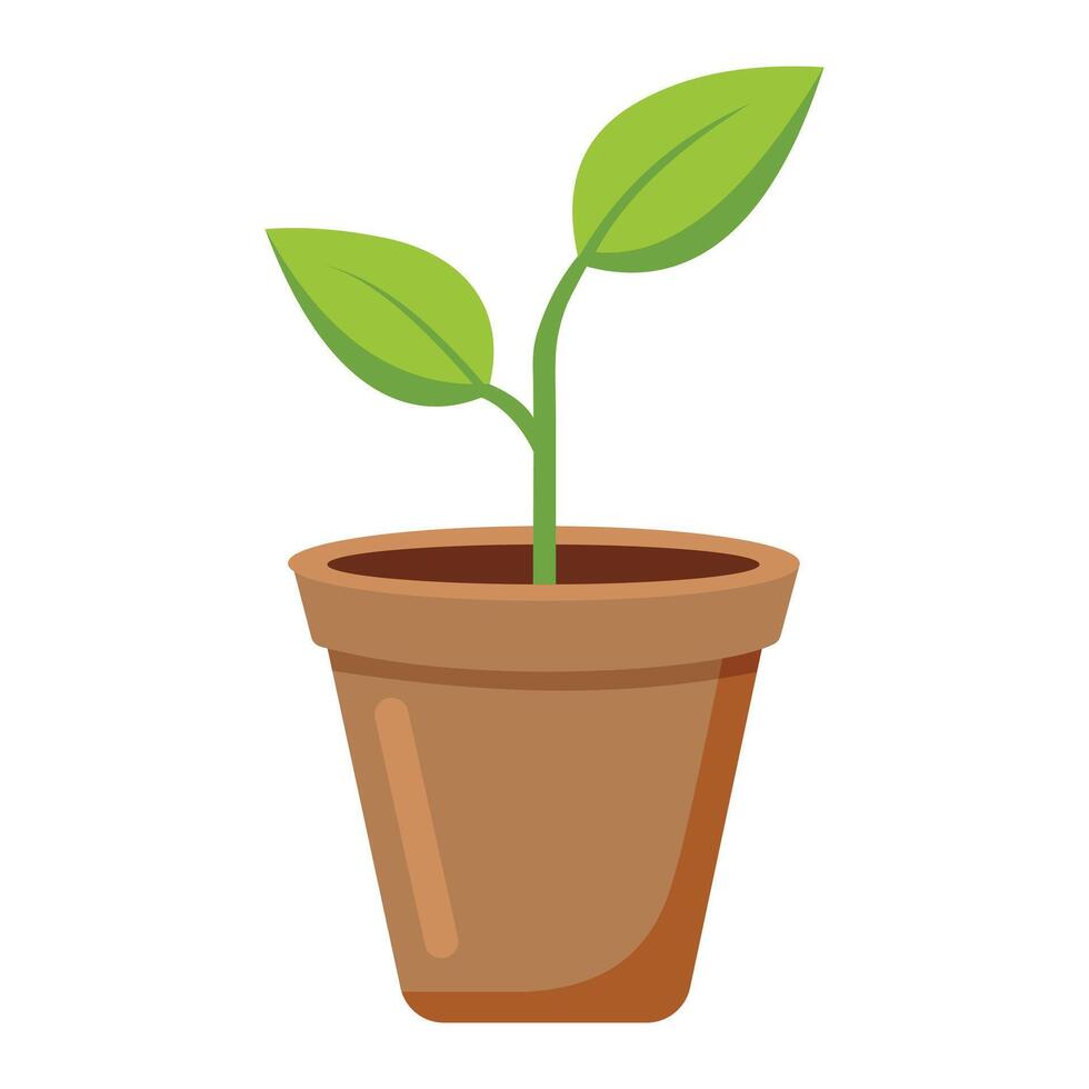Young Sprout in a Small Pot Isolated on White vector