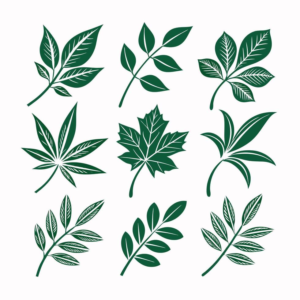 Collection of Green Leaf Silhouettes - Botanical Nature Icon Set vector