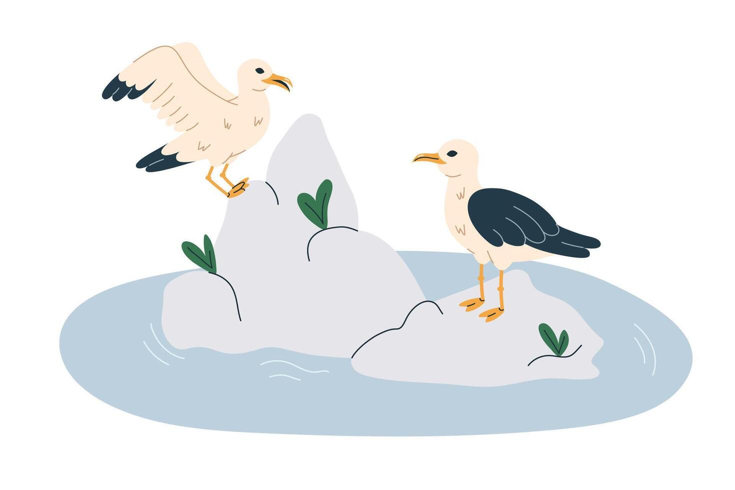 Seagulls at the rocky shore of the ocean. Marine nautical beach fauna. Seabirds standing, side view. vector