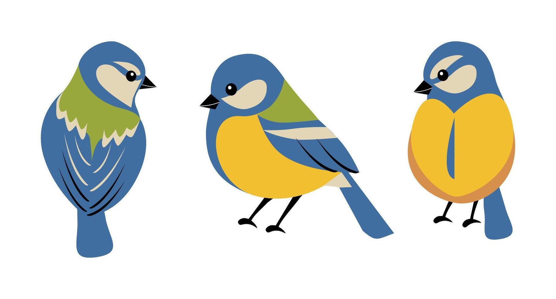 Set of spring birds, blue tit in flat cartoon style isolated on white. vector