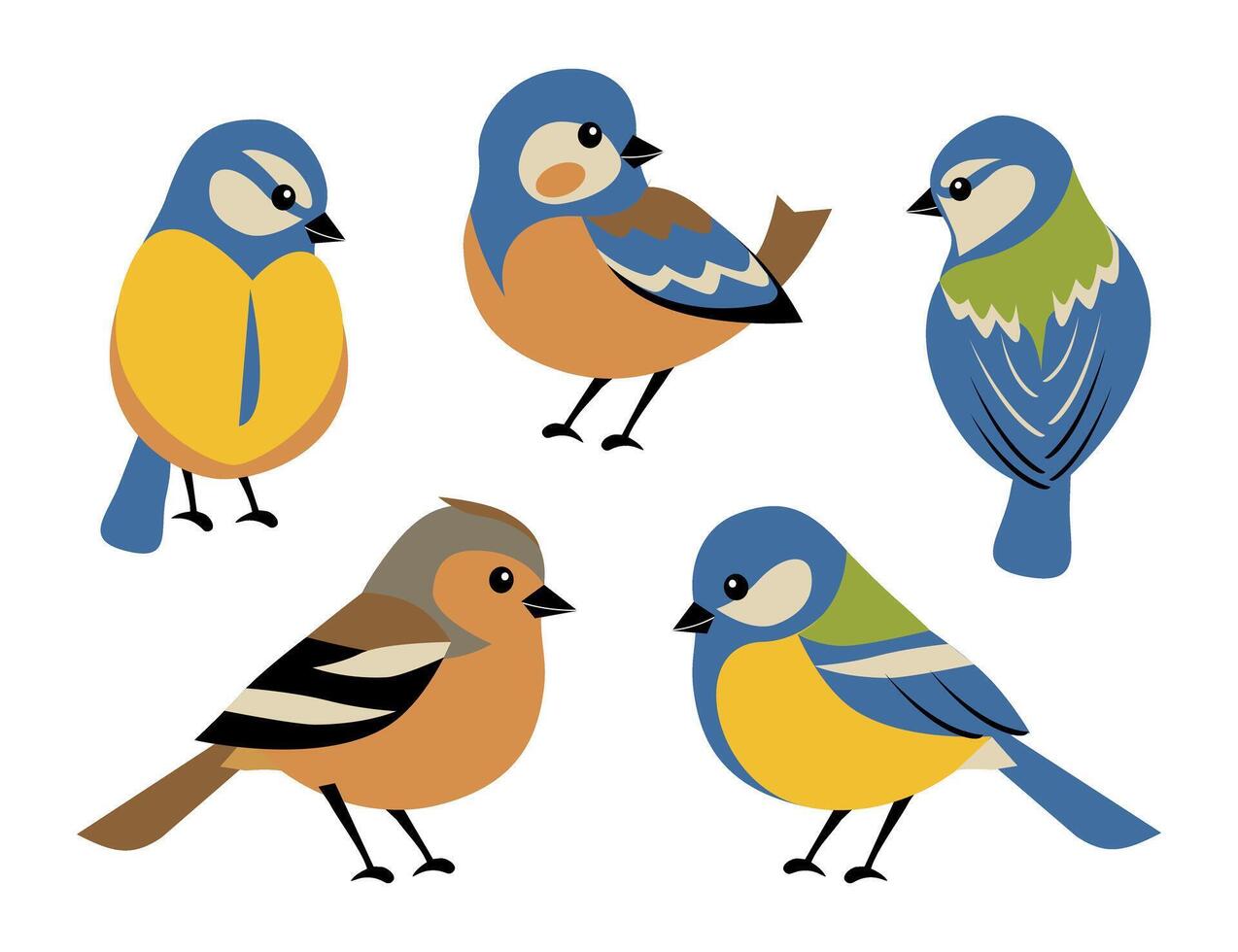 Set of spring birds, blue tit and finch. Different colorful birds in flat cartoon style isolated on white. vector